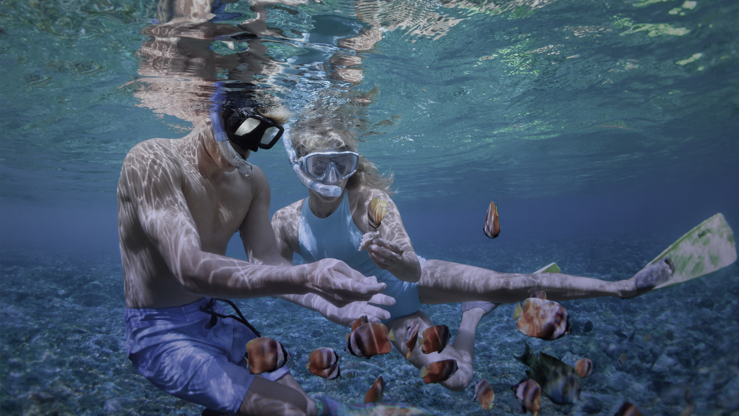 Beneficios Diners Club: Dos socios buceando viendo peces en el oceano