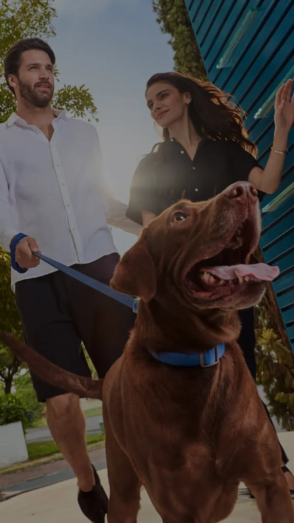 Pareja paseando un perro