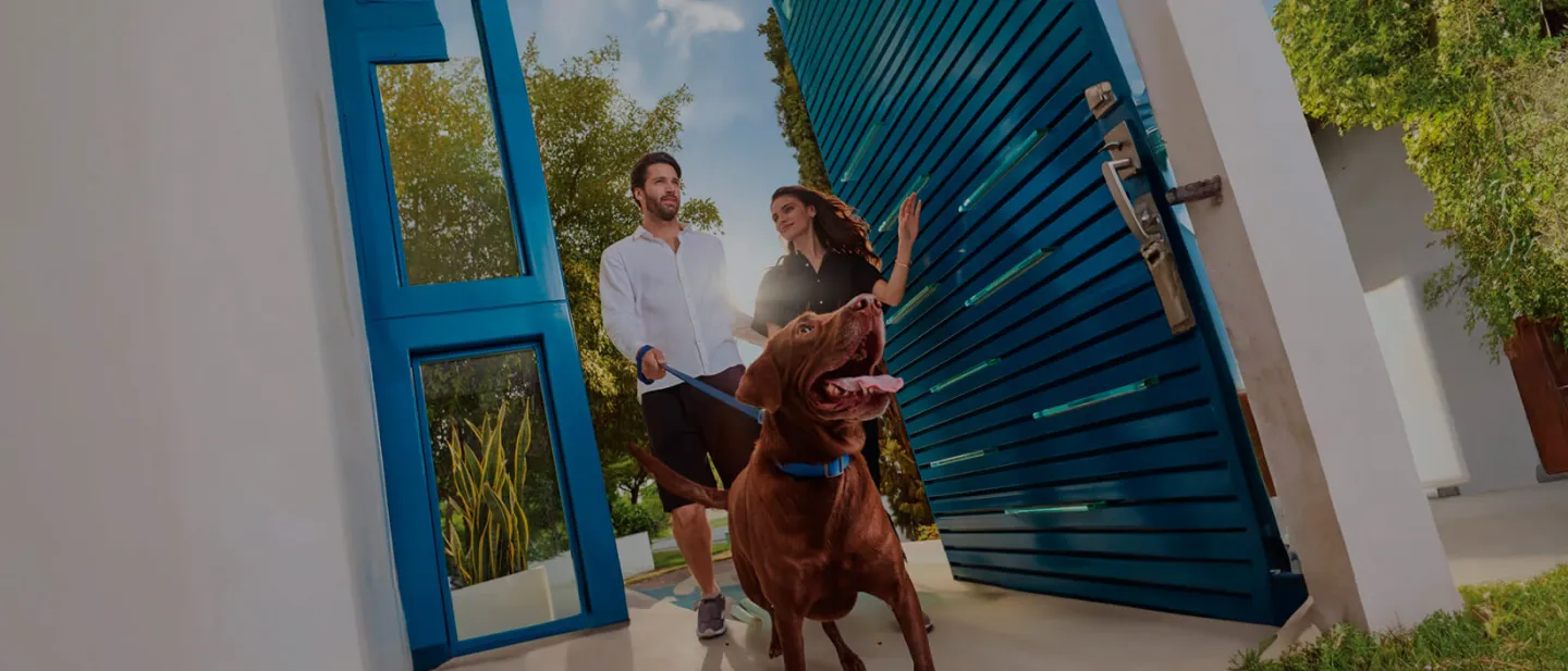 Pareja paseando un perro